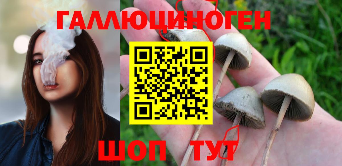 Рубцовск  Псилоцибиновые грибы Psilocybe  Вход с VPN 